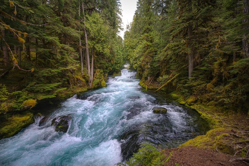 The Enchanted Forest, Oregon